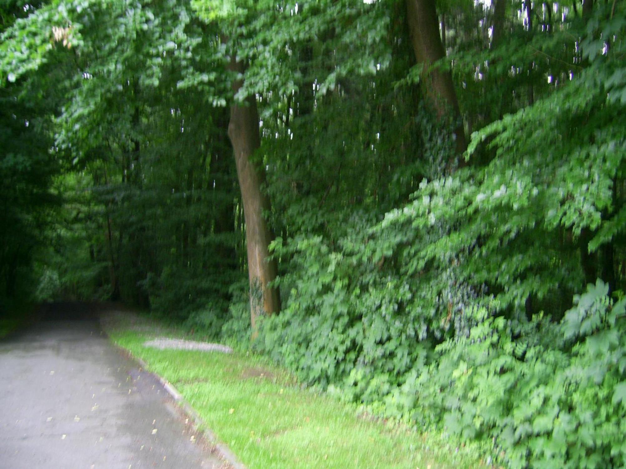 Waldpension Bielefeld Bagian luar foto